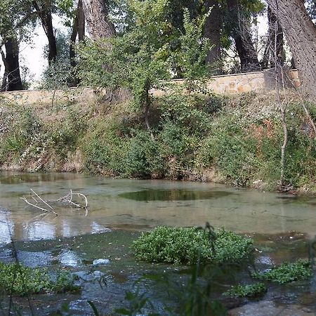 Hostal Rural El Nacimiento Deifontes エクステリア 写真