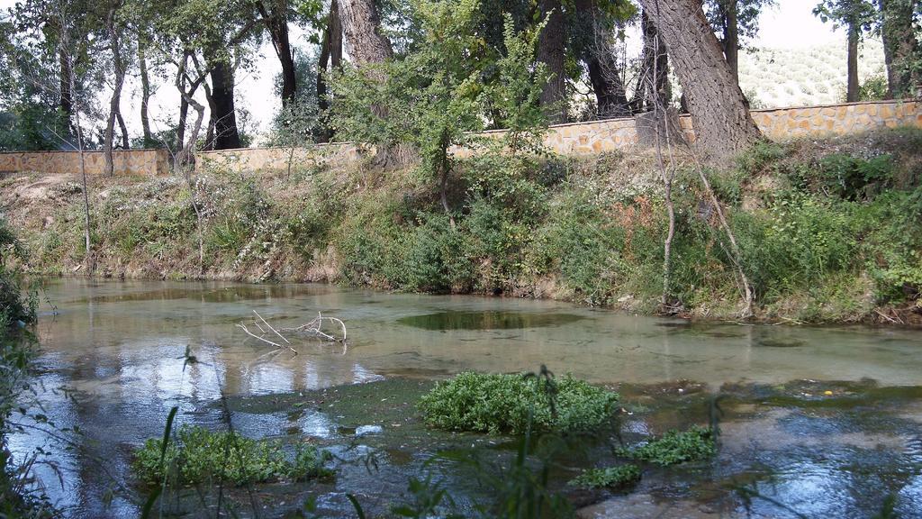 Hostal Rural El Nacimiento Deifontes エクステリア 写真