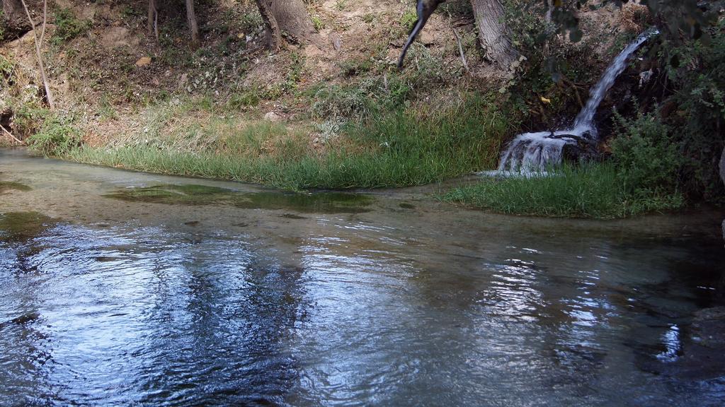 Hostal Rural El Nacimiento Deifontes エクステリア 写真