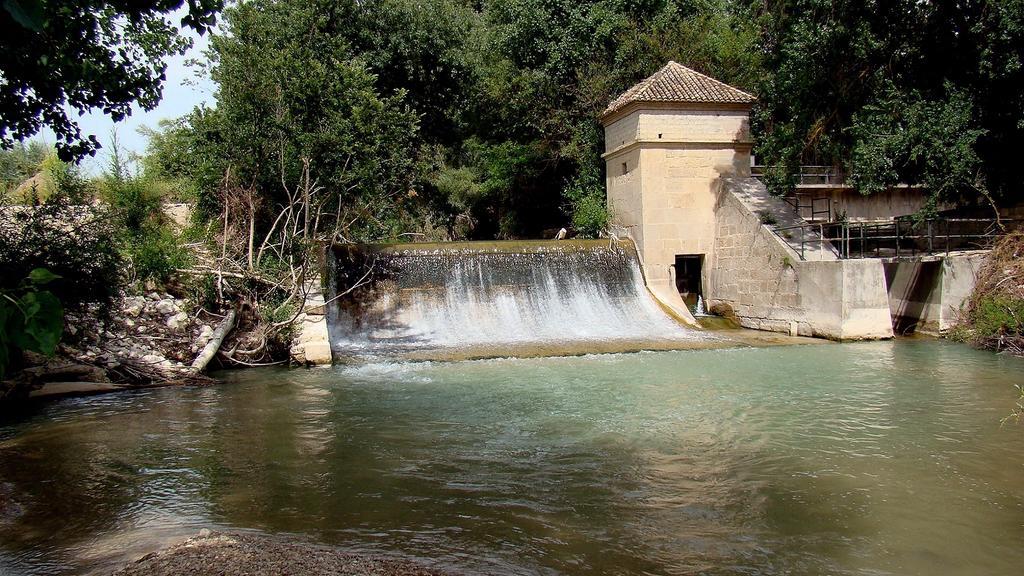 Hostal Rural El Nacimiento Deifontes エクステリア 写真