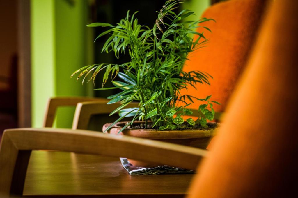 Hostal Rural El Nacimiento Deifontes エクステリア 写真