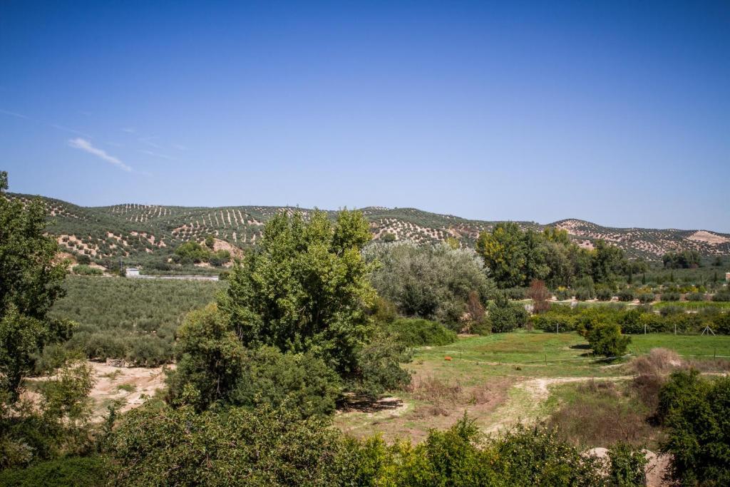 Hostal Rural El Nacimiento Deifontes エクステリア 写真
